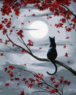 ��� ��� ZX 23851 ���������� ��� 19 ������ - ����������� ������ ��� ���������� ��������� ��� ���������