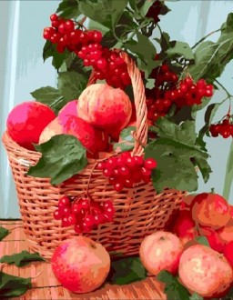 ��� ��� ZX 10026 ������ 26 ������ - ����������� ������ ��� ���������� ��������� ��� ���������