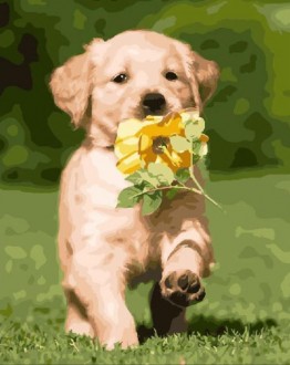 ��� ��� ZX 21220 ����� ����� 25 ������ - ����������� ������ ��� ���������� ��������� ��� ���������