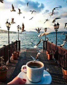 ��� ��� ZX21599 ���� � ���� 28 ������ - ����������� ������ ��� ���������� ��������� ��� ���������