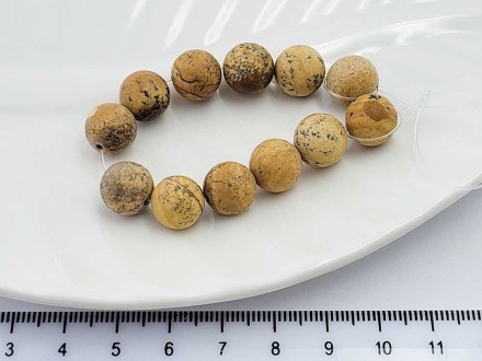 ����, �������� ����� �������, 10�� 12��/���� - ����������� ������ ��� ���������� ��������� ��� ���������