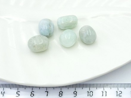 ��������� ���� 10*12�� 1��/��� - ����������� ������ ��� ���������� ��������� ��� ���������