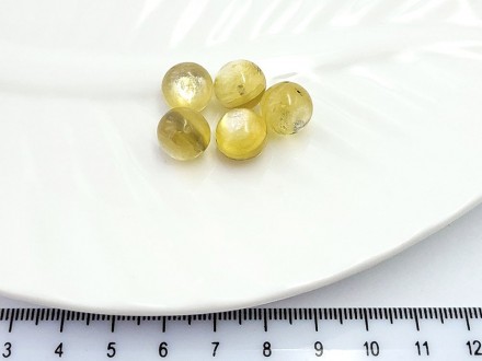 ��������� ������� ������� 10�� 1��/��� - ����������� ������ ��� ���������� ��������� ��� ���������