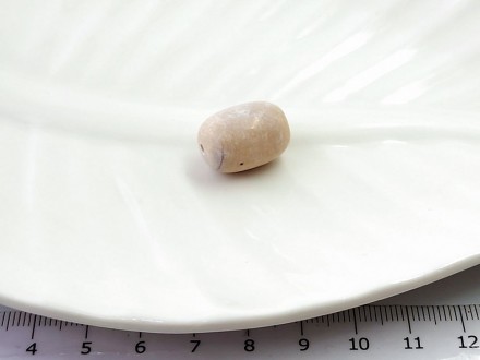 ���� �������� ���� ����������� 18*13�� 1��/������� - ����������� ������ ��� ���������� ��������� ��� ���������