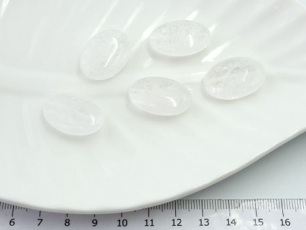 ������ �������� ���� ������� 24*18�� 1��/��� - ����������� ������ ��� ���������� ��������� ��� ���������