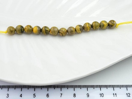 ���� ��������  ������� 6�� 13��/���� - ����������� ������ ��� ���������� ��������� ��� ���������