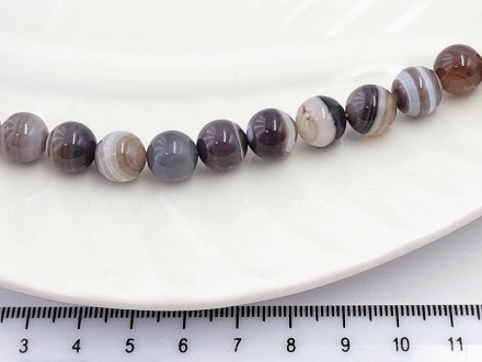 ���� ��������, ������� 10��, 18��/���� - ����������� ������ ��� ���������� ��������� ��� ���������