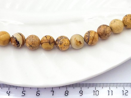 ����, �������� �������, 10�� 18��/���� - ����������� ������ ��� ���������� ��������� ��� ���������