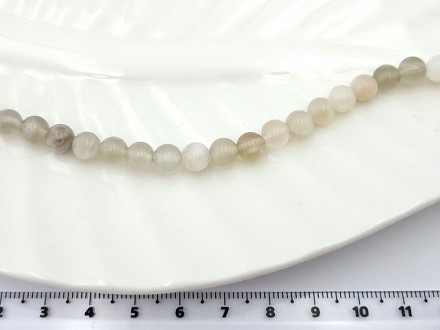 ��������� ������,����-������ �����, 6��, 31��/���� - ����������� ������ ��� ���������� ��������� ��� ���������