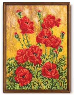 ������ ������ �-204 ���� - ����������� ������ ��� ���������� ��������� ��� ���������