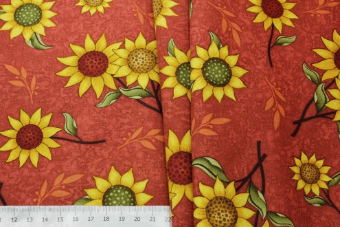 ����� � 491 ������������ ������  100%, h-110��, - ����������� ������ ��� ���������� ��������� ��� ���������