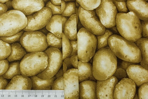 ����� �799 ������������ ������  100%, h-110��, - ����������� ������ ��� ���������� ��������� ��� ���������